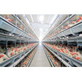 Poultry Feeding rolo dá forma à máquina